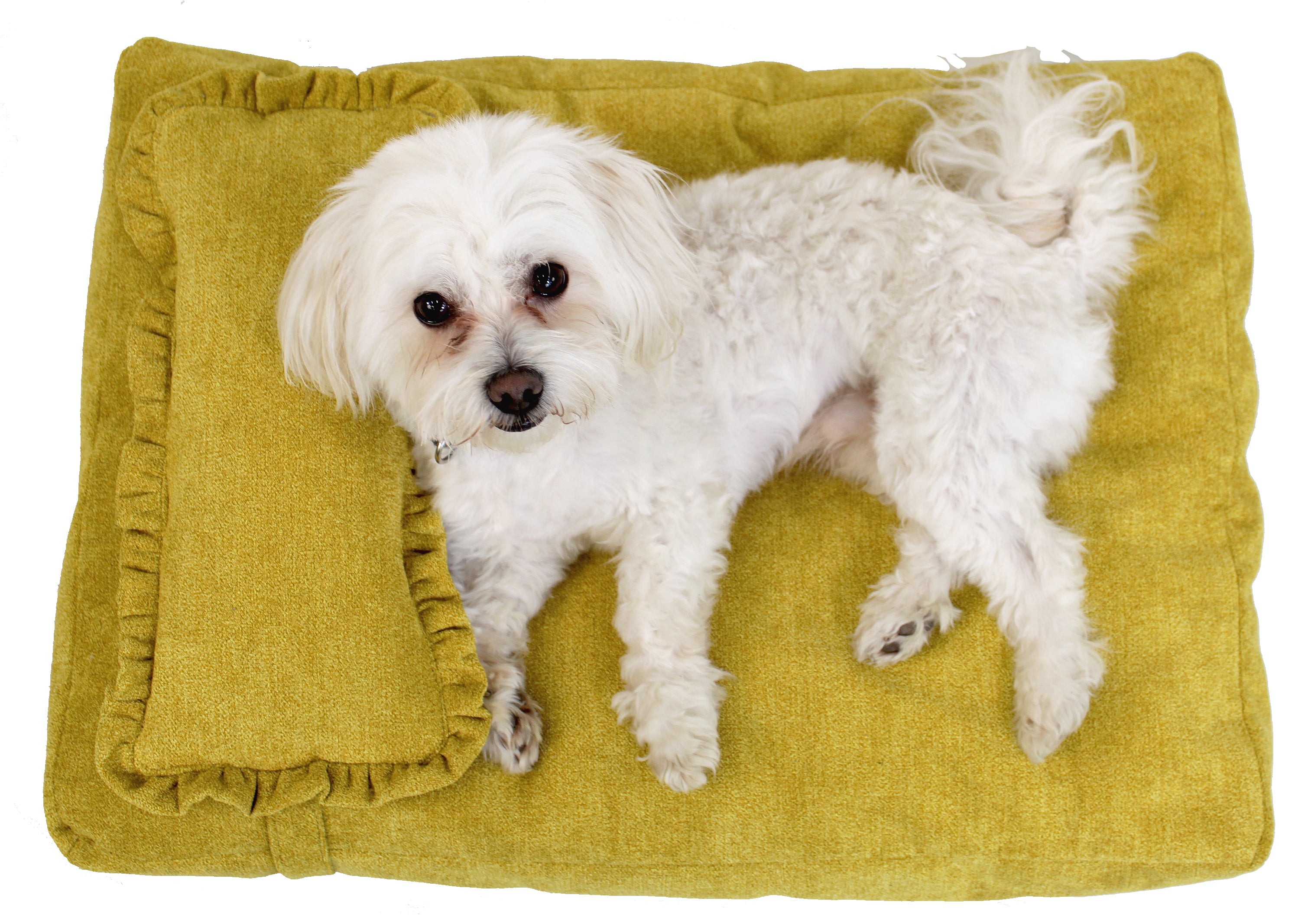 Dog pillow Bella