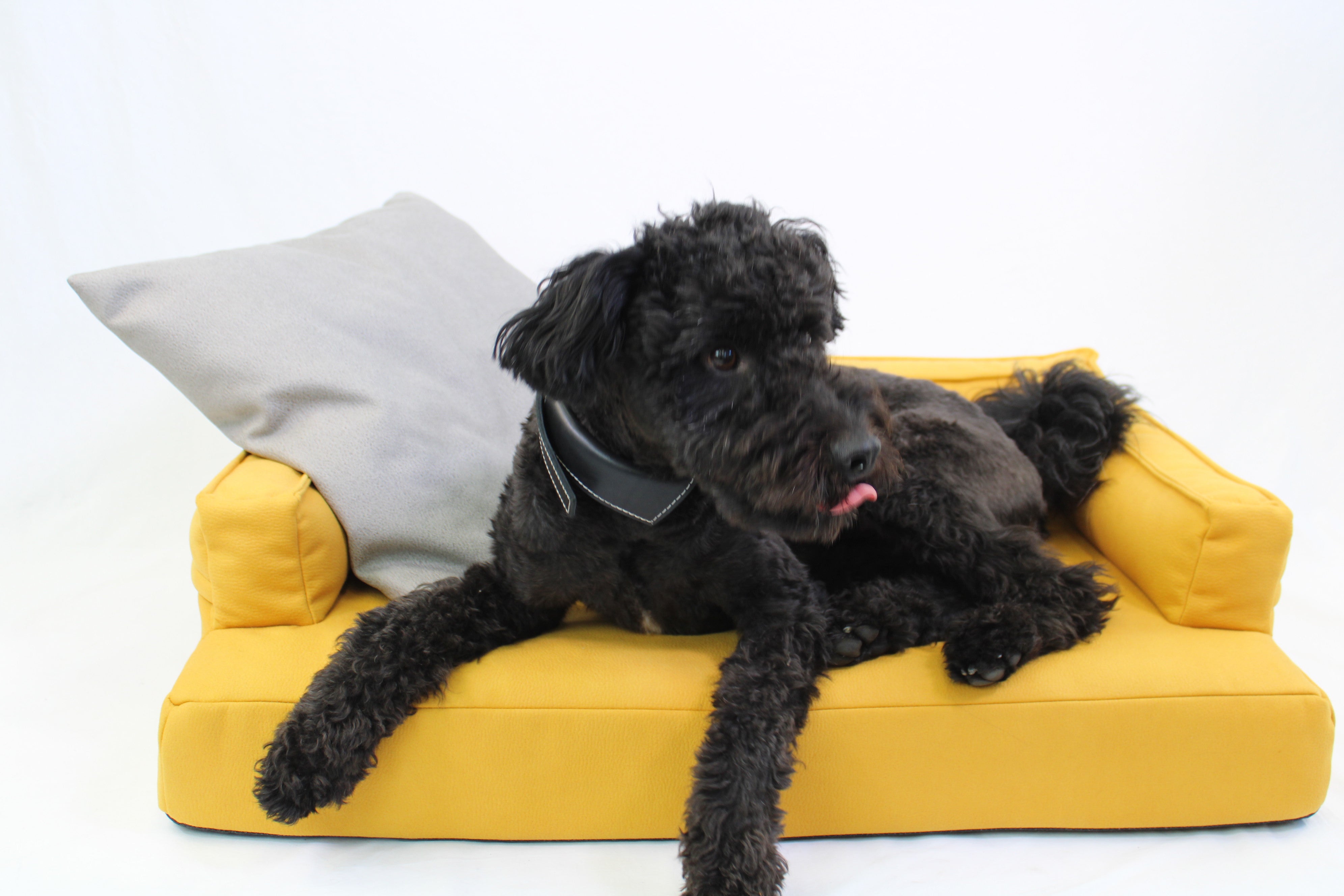 Pillow for dogs in 3D