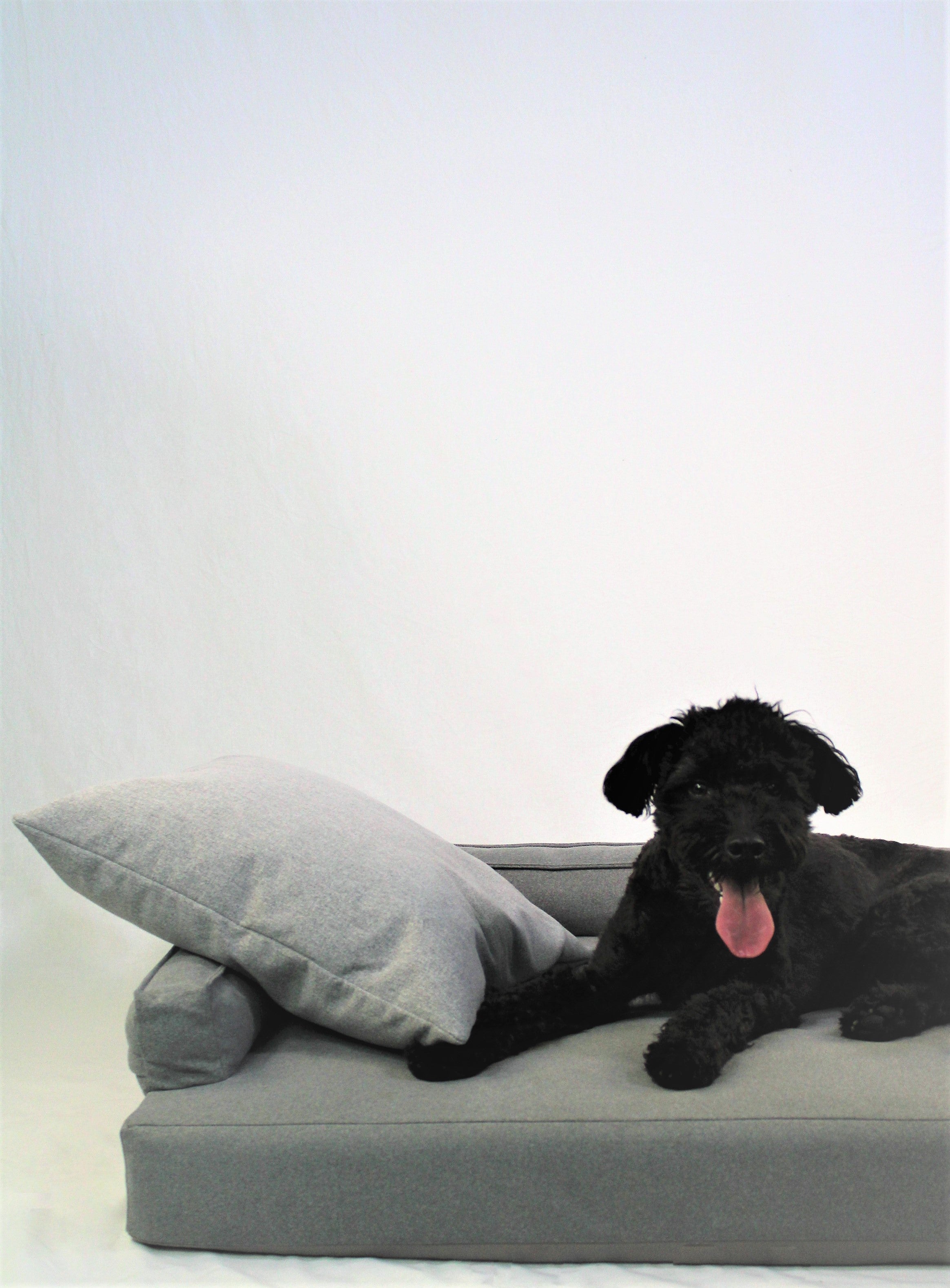 Jastuk za pse 3D-u