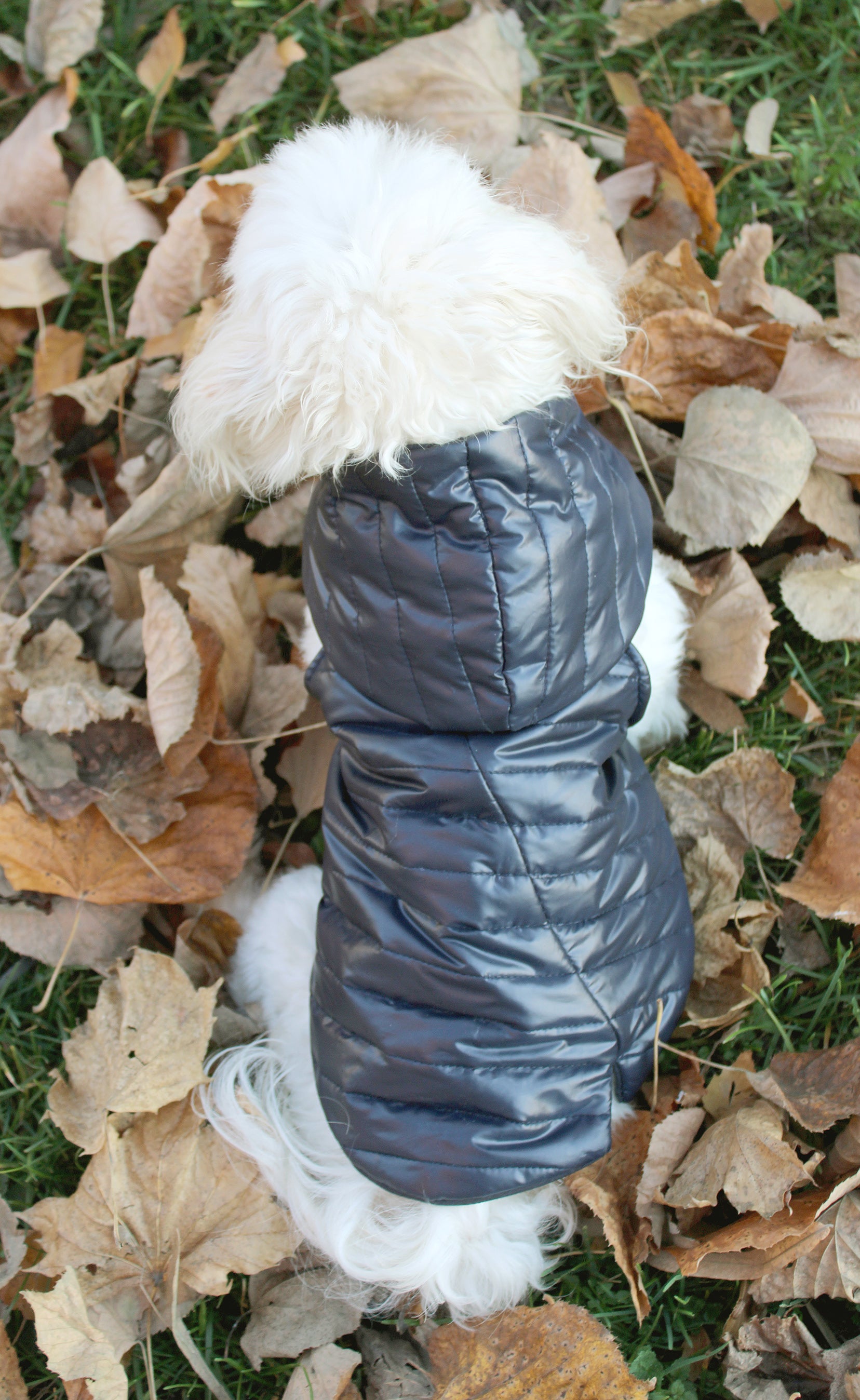 Hundebekleidung - Winterjacke Kord